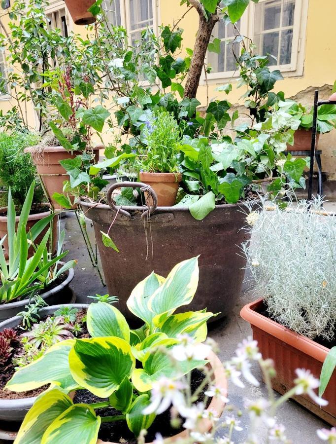 Secret Garden Apartment Zagreb Bagian luar foto